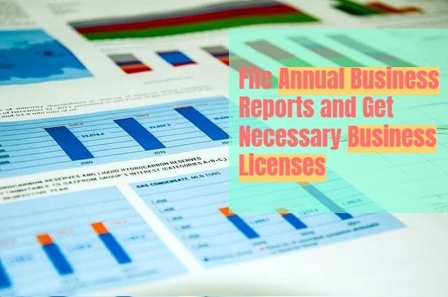 You need to file annual reports for your LLC to the Government. To start your business you need appropriate licenses from the concerned authorities.