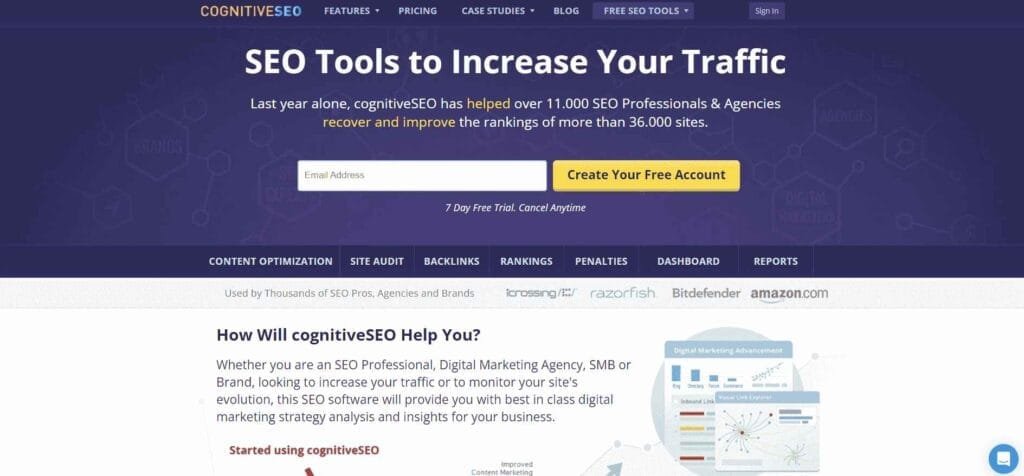CognitiveSEO