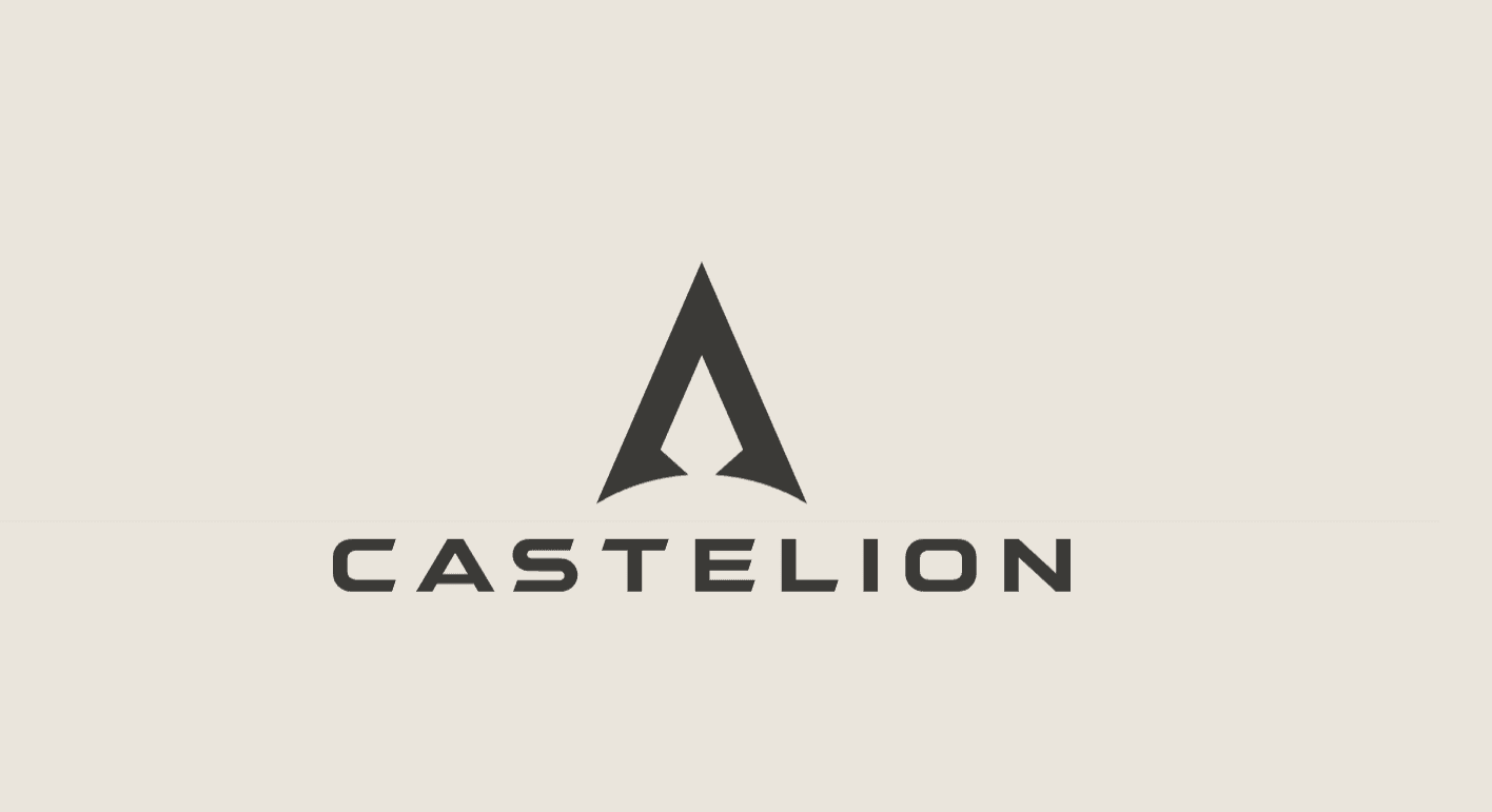 How WinSavvy can Grow Castelion's Digital Presence: An Analysis
