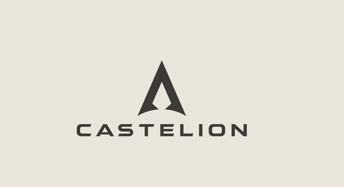 How WinSavvy can Grow Castelion's Digital Presence: An Analysis
