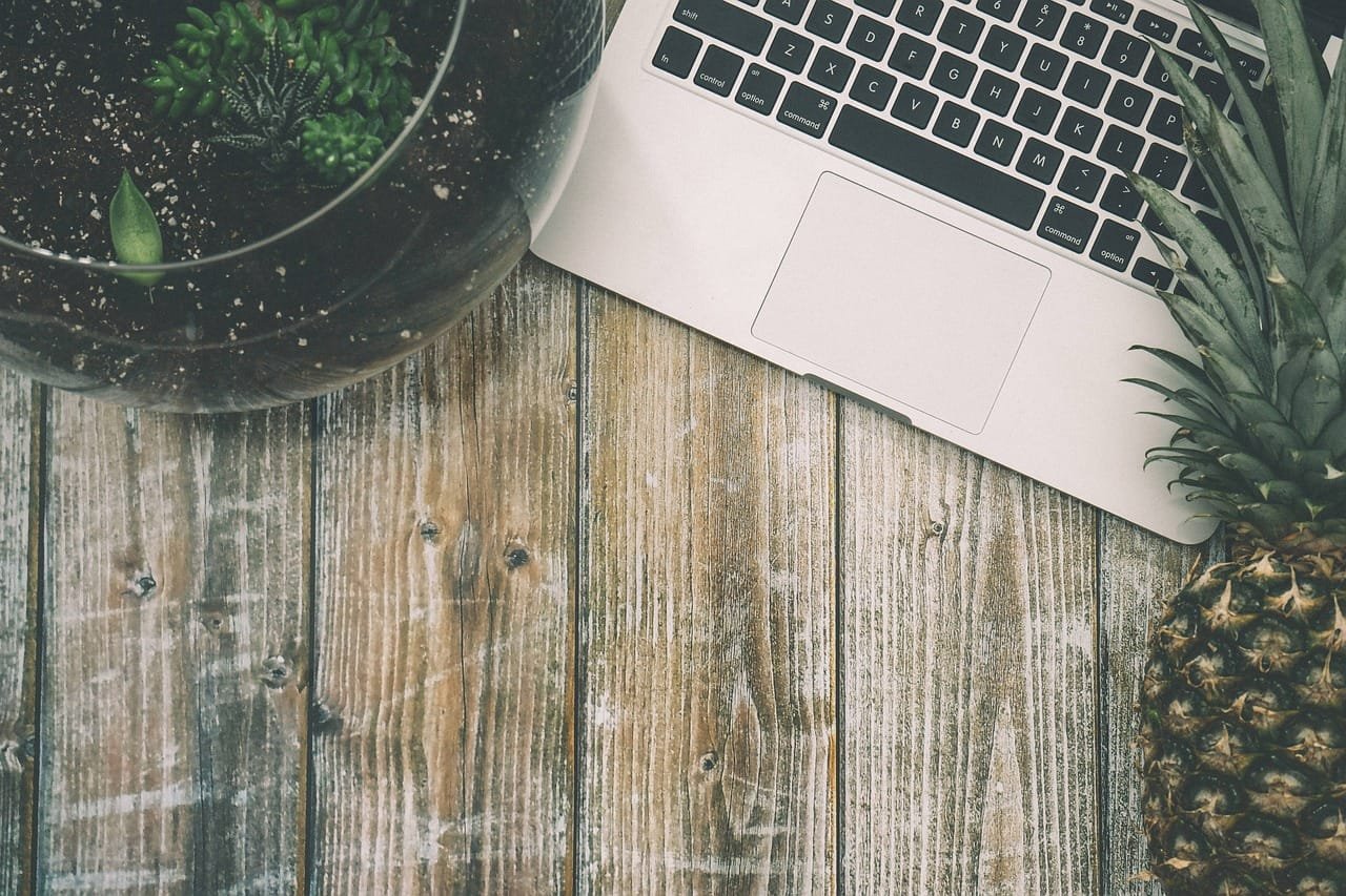 Enhance user experience with SEO analytics. Collect and analyze data to optimize your startup’s website usability and engagement.