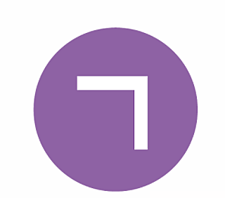 social report