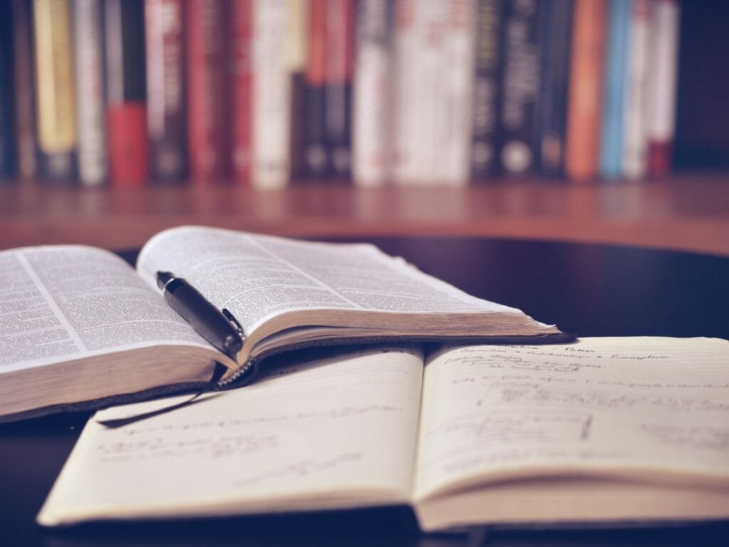 Sole Trader vs. Limited Company: The Shield of Limited Liability