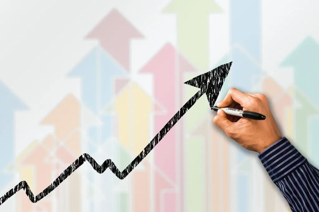 Limited by Shares: Designed for Profit