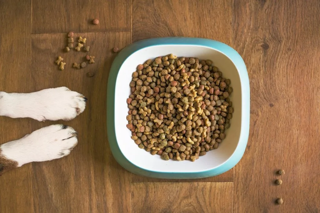 Building a brand in any industry is a complex process, but in the pet food market, trust is the cornerstone. Pet owners today are more informed and discerning than ever before. They look for brands that not only promise quality but also prove it in every aspect of their operations. How do you establish this trust? The answer lies in transparent practices, quality ingredients, and effective communication.