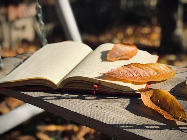 Highlight outdoor activities that are popular in autumn, such as hiking, apple picking, or visiting pumpkin patches. Share guides on the best local spots for these activities or tips on what to bring for an autumn hike.