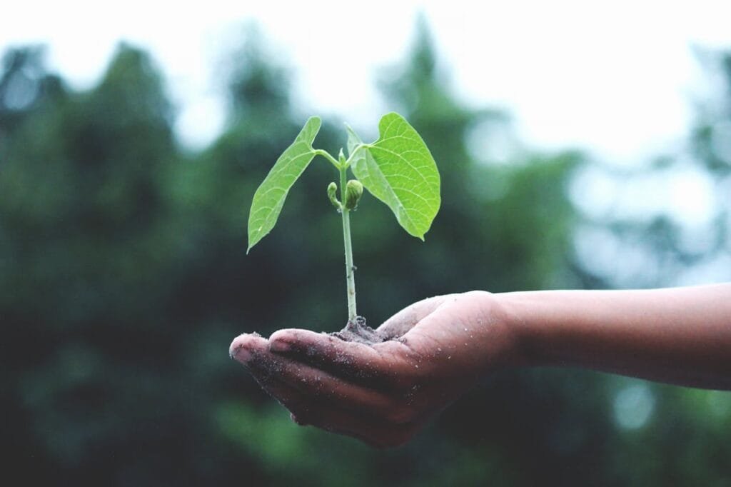 Highlight any eco-friendly practices your company employs, such as using energy-efficient equipment or offering green HVAC solutions.