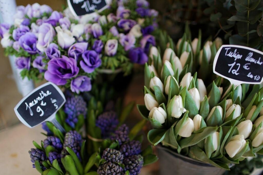 Welcome spring with fresh marketing strategies. Discover creative ideas to engage customers, boost sales, and rejuvenate your brand this season