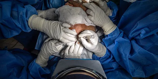 Unlock powerful marketing strategies for plastic surgeons. Attract new patients, build trust, and grow your practice effectively