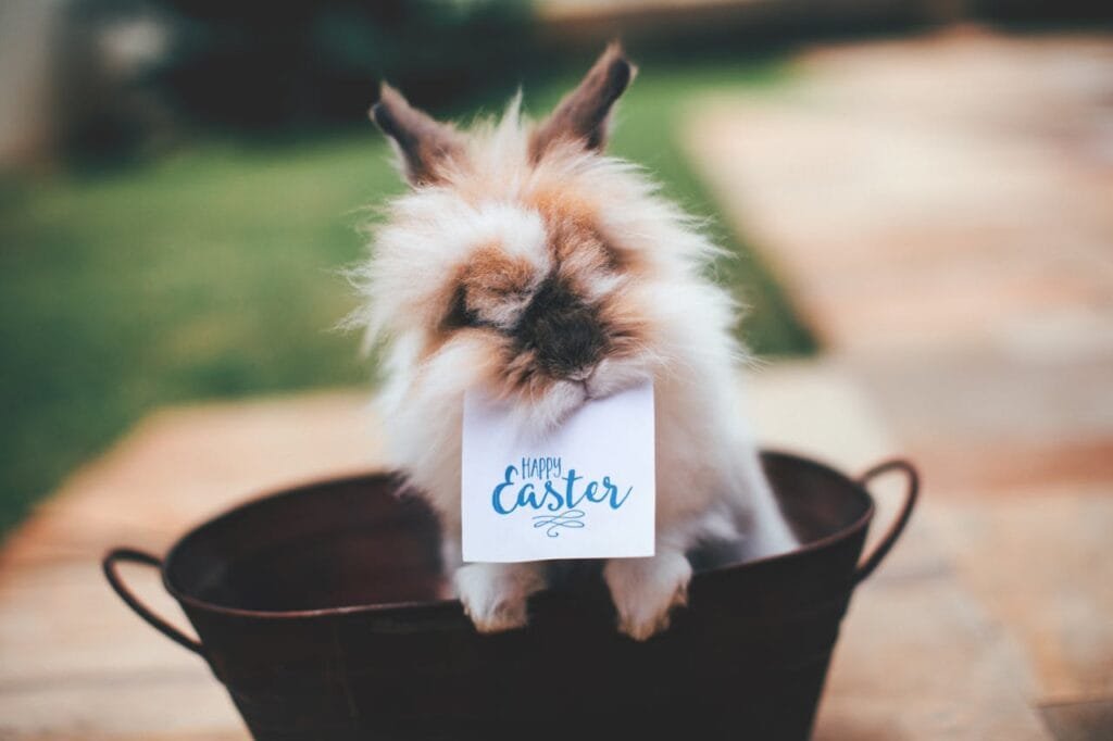 Use the power of storytelling to create a deeper connection with your audience. Share the story behind your brand and how you celebrate Easter. Whether it's a behind-the-scenes look at your preparations or sharing customer stories, engaging narratives can make your brand more relatable and memorable.