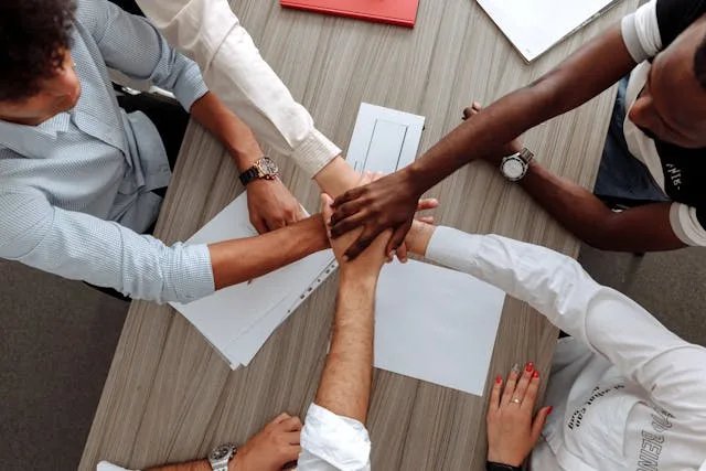 Use strategic partnerships to shield your brand from instability. Build alliances that support mutual growth and reinforce market positioning