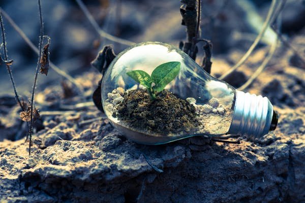 Reducing emissions is essential, but it is no longer enough. To truly combat climate change, companies also need to remove carbon that has already been emitted. This is where technologies like direct air capture, enhanced weathering, and reforestation projects come in.