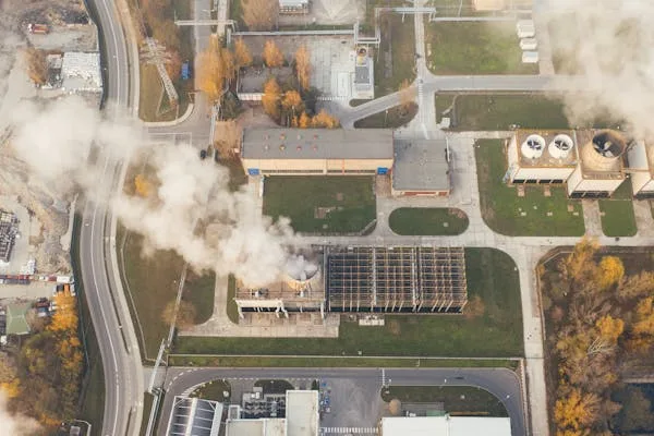 Discover key benchmarks for reducing carbon footprints. Get actionable insights into how businesses are lowering emissions and staying competitive.